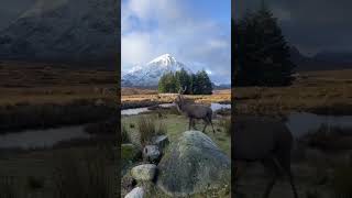 Glencoe historical valleys scotland greatglen greatglenway cairngormmountain glencoe [upl. by Frankie]