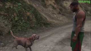 GTA 5  PS3  Strangers and Freaks Mission 21  Uncalculated Risk 100  Gold Medal [upl. by Ricardo]