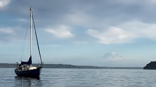 Corazon Chronicles ⛵️ Three Pacific Seacraft Flickas 20’s meet in South Puget Sound [upl. by Kinghorn]