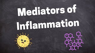 GENERAL PATHOLOGY II CHAP 3 II INFLAMMATION II MEDIATORS OF INFLAMMATION II ROBBINS 10TH EDITION [upl. by Yecaj]