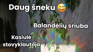 Tualeto interjeras  Vegan balandėlių sriuba  Keramika  Putės  Statybos  Saldapirskiai [upl. by Einaffets]