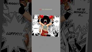 PERSONAGENS MAIS ESTILOSOS DE ONE PIECE anime humorbrasil onepiece [upl. by Ellinehc]