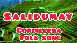 Music of Cordillera  Salidumay  Cordillera Folk Song  Grade 7  Learning [upl. by Yrocej252]