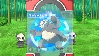 Pangoro Pokédex Entrywmv [upl. by Zerla]