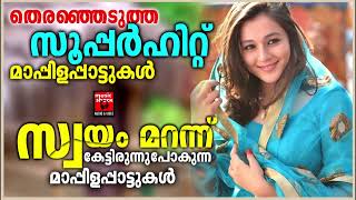 Mappila Songs Video [upl. by Vedis670]