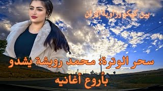 سحر الوترة محمد رويشة يشدو بأروع اغانيه بين كيكو وزاوية إفران [upl. by Adnawot671]