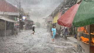 Heavy Rain and Thunderstorms in the Beauty of Village Life  ASMR Natural Rain for Healing Insomnia [upl. by Camm455]