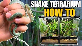 UPGRADING RHINOCEROS RATSNAKES INTO BIOACTIVE TERRARIUMS [upl. by Thrift311]