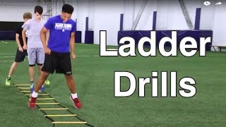 Agility Ladder Drills [upl. by Omocaig]