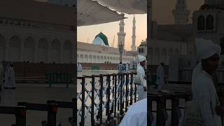 MODINA ROUJA MUBARAK islamicholysite modinarazan salleallahualaihiwassallam shortsvideo [upl. by Vizzone]