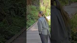 Muir Woods cali muirwoods [upl. by Ahsekahs301]