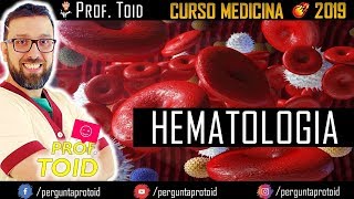 💉 Hematologia Básica  Medicina  Ensino Superior  Prof Toid 💉 [upl. by Guod629]