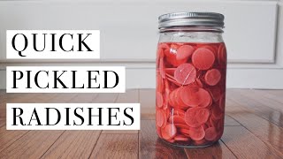 Quick Pickled Radishes  From Scratch [upl. by Ahsayn765]