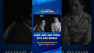 Kung Ano Ang Puno Siya Ang Bunga  Full Movie highlight  Cinemaone [upl. by On]