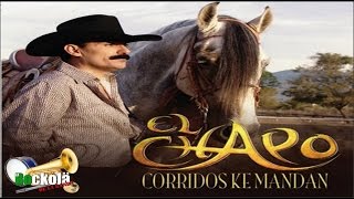 El Chapo de Sinaloa  Corridos ke Mandan  ALBUM [upl. by Penland]