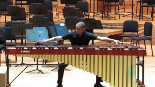 Emmanuel SéjournéConcerto for marimba and string orchestra [upl. by Eerbua]