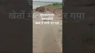 लूणकरणसर में खूब बारिश lunkaransarbarish umashankarvermavlogs [upl. by Esinev762]