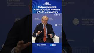 Wolfgang Schüssel Chinas Approach to Reform Is Worth Learning From [upl. by Grannie]