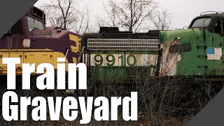 Exploring a Train Graveyard [upl. by Netsrijk245]