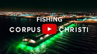 Night Fishing a Public Pier  Corpus Christi TX [upl. by Yrrab171]