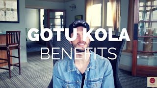 Gotu Kola Benefits Hair Growth Cellulite Reduction amp Circulation [upl. by Irwinn406]