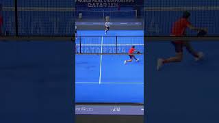 😱Lebron de pareja de Coello🎾 padel padelhighlights padeltime Qatar 2024 [upl. by Chassin610]