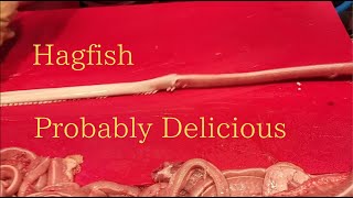 【Hagfish】Probably Delicious [upl. by Nylasor]