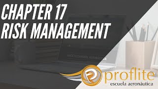 Chapter 17 Risk Management [upl. by Stevy]