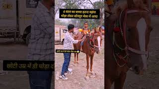 4 साल का बच्चा इतना कीमती घोड़ा को दौड़ा रहा 😱 सोनपुर मेला में ll horse horsemarket sonpurmela [upl. by Sugden935]