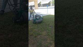 Lawn aeration with overseeding of rye grass [upl. by Lombard]