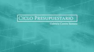 7 Ciclo Presupuestario [upl. by Ellimaj]