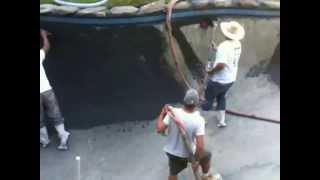 Black Diamond Brite Plaster on Gunite Pool by Affordable Pools [upl. by Cir785]