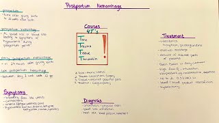 Postpartum Hemorrhage  Diagnosis Causes Treatment Complications [upl. by Apeed]