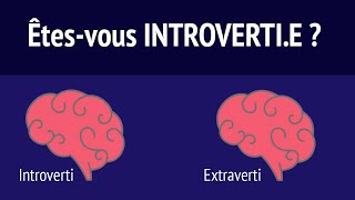 Êtesvous introvertie  Estce un problème [upl. by Daile]