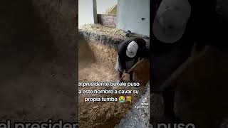 miren lo que le hases bukele alos ladrones en el salvadorviral viralvideo paratiiiiiii noticias [upl. by Roch]