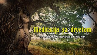 Meditacija sa drvetom Teal Swan [upl. by Tseng]