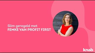 Zzp tip  Zo bereken je inkomstenbelasting  Femke Hogema van Profit First [upl. by Atinrev]