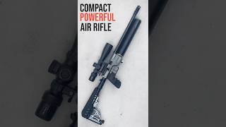 POWERFUL COMPACT AIR RIFLE 510 Cal [upl. by Airdua789]