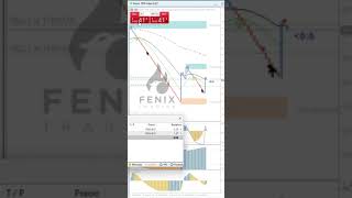 BOOM 1000  INDICES SINTETICOS  SOLO VELAS TREND [upl. by Ynnol795]