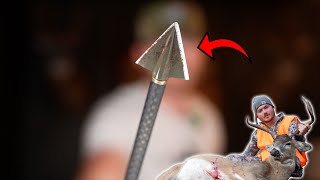 VPA Single Bevel 2Blade Broadhead Review [upl. by Hafirahs]