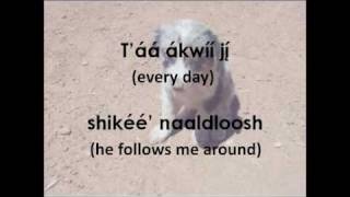 Navajo Puppy Song Lyrics amp Translation [upl. by Leffert551]