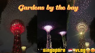 Gardens by the bay  Singapore 🇸🇬  vlog😍 [upl. by Allekram138]