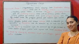 FOLLICULAR PHASE MENSTURAL CYCLE HUMAN REPRODUCTION CLASS 12 [upl. by Carolynne]