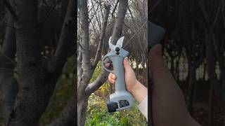 Branch pruning processGood tools can improve work efficiency [upl. by Cyndy]