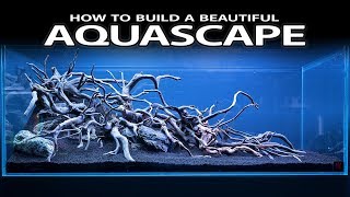 HOW TO BUILD A BEAUTIFUL AQUASCAPE EASILY  INSPIRATION HARDSCAPE LAYOUT [upl. by Nnylanna107]