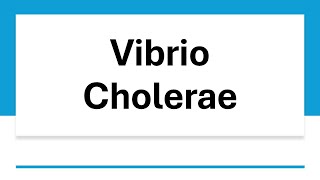 Vibrio Cholerae [upl. by Lucia241]