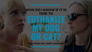 How Do I Know if it is Time to Euthanize my Dog or Cat Vlog 102 [upl. by Trenna]