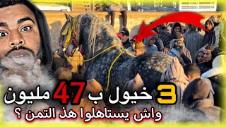 مفأجاة من العيار الثقيل 3 الخيول ب 47 مليون🚨 فالسوق ميمكنش 😱 واش يستاهلو هذ الثمن ؟ [upl. by Anileh]