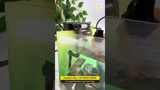 Aquarium Glass Cleaning Liquid Designer Aquascaping Aquarium Best Shop in Ahmedabad shorts [upl. by Arimak868]