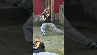 Shaolin Temple vigorous quotYang Trainingquot  Shaolin Temple Yunnan [upl. by Ysac109]